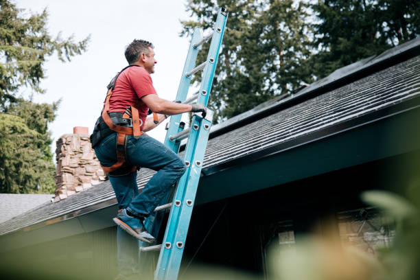 Best Gutter Installation and Repair  in Mayflower Village, CA